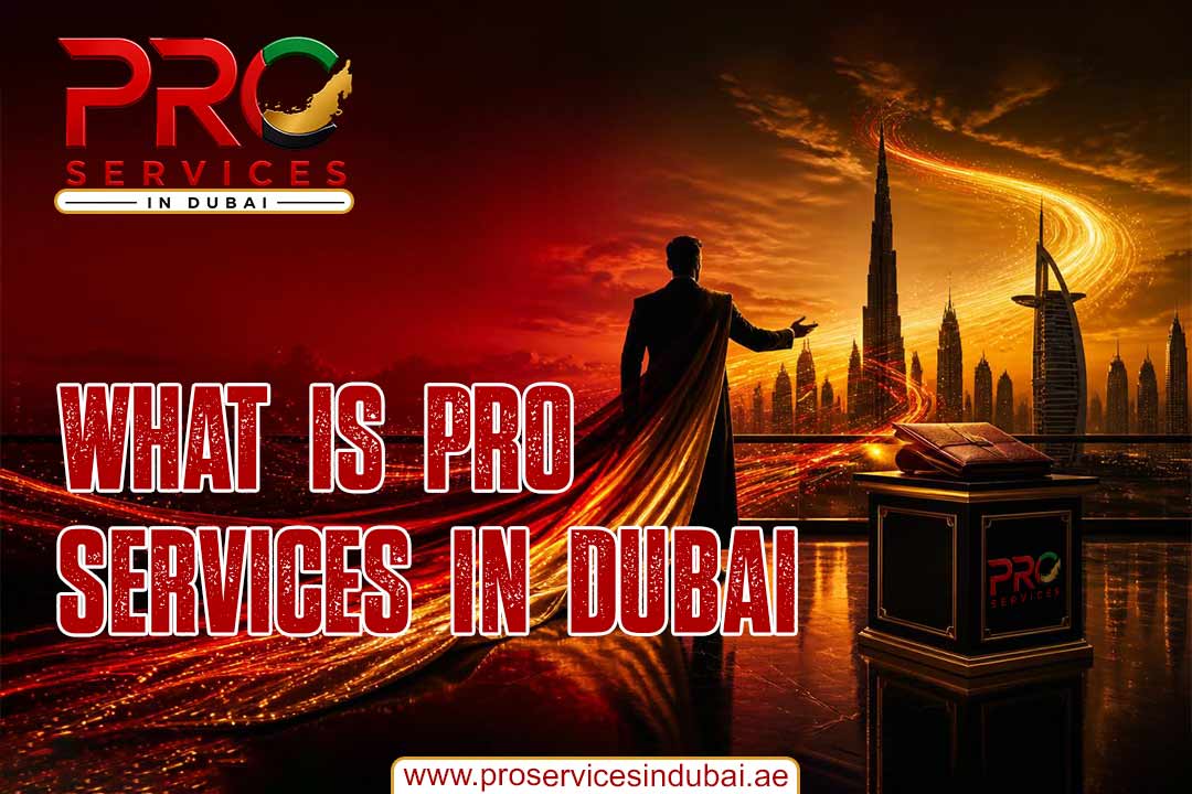 What is PRO Services In Dubai.