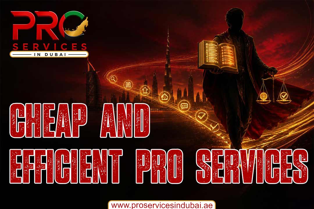 cheap and efficient pro services